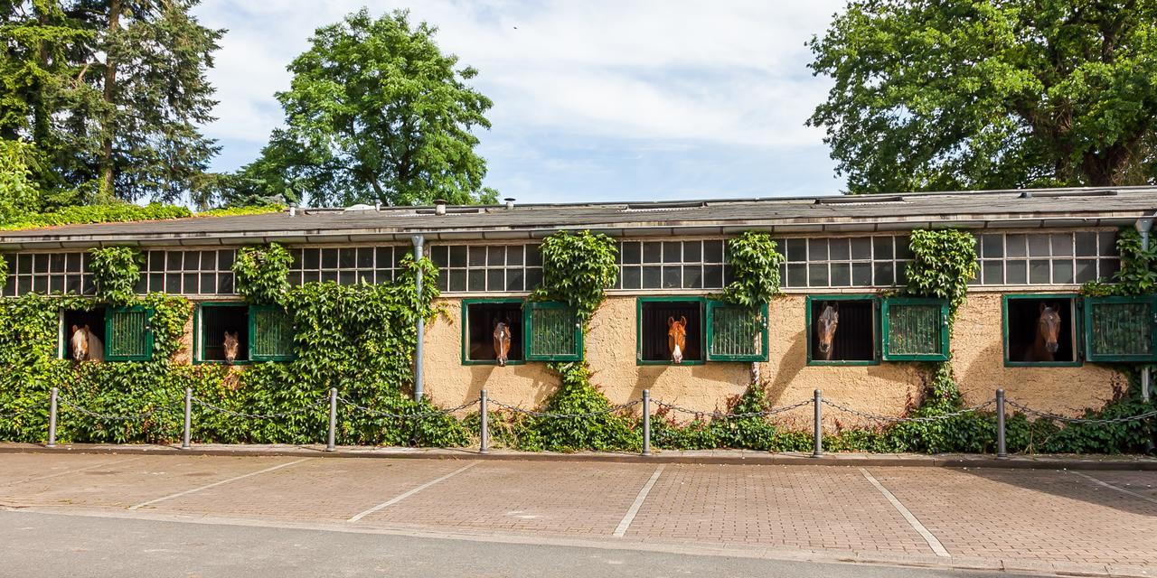 Gaestehaus Schloss Bothmer Hotel Schwarmstedt Luaran gambar